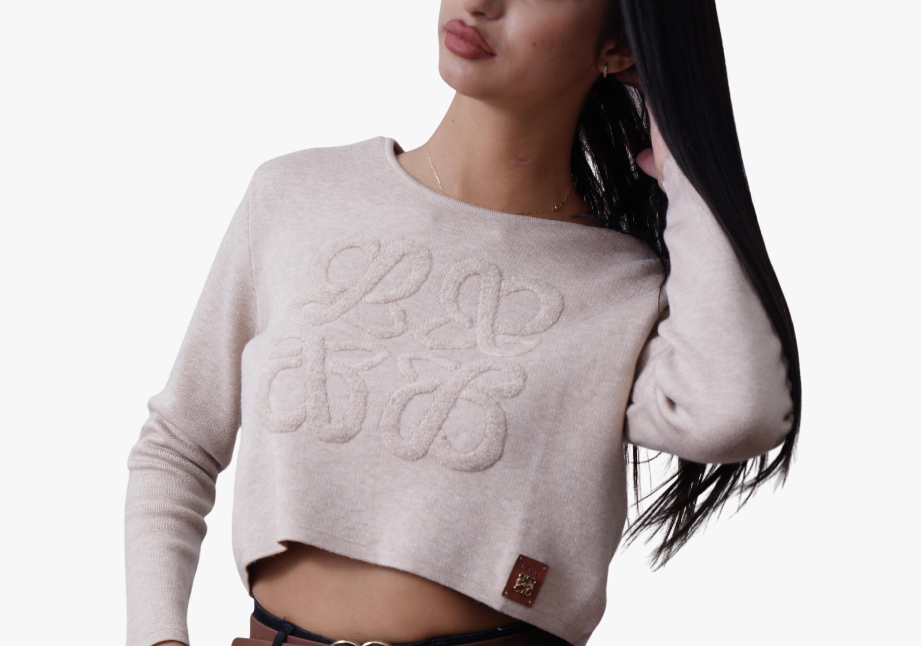Loewe Cropped Logo Knit Sweater