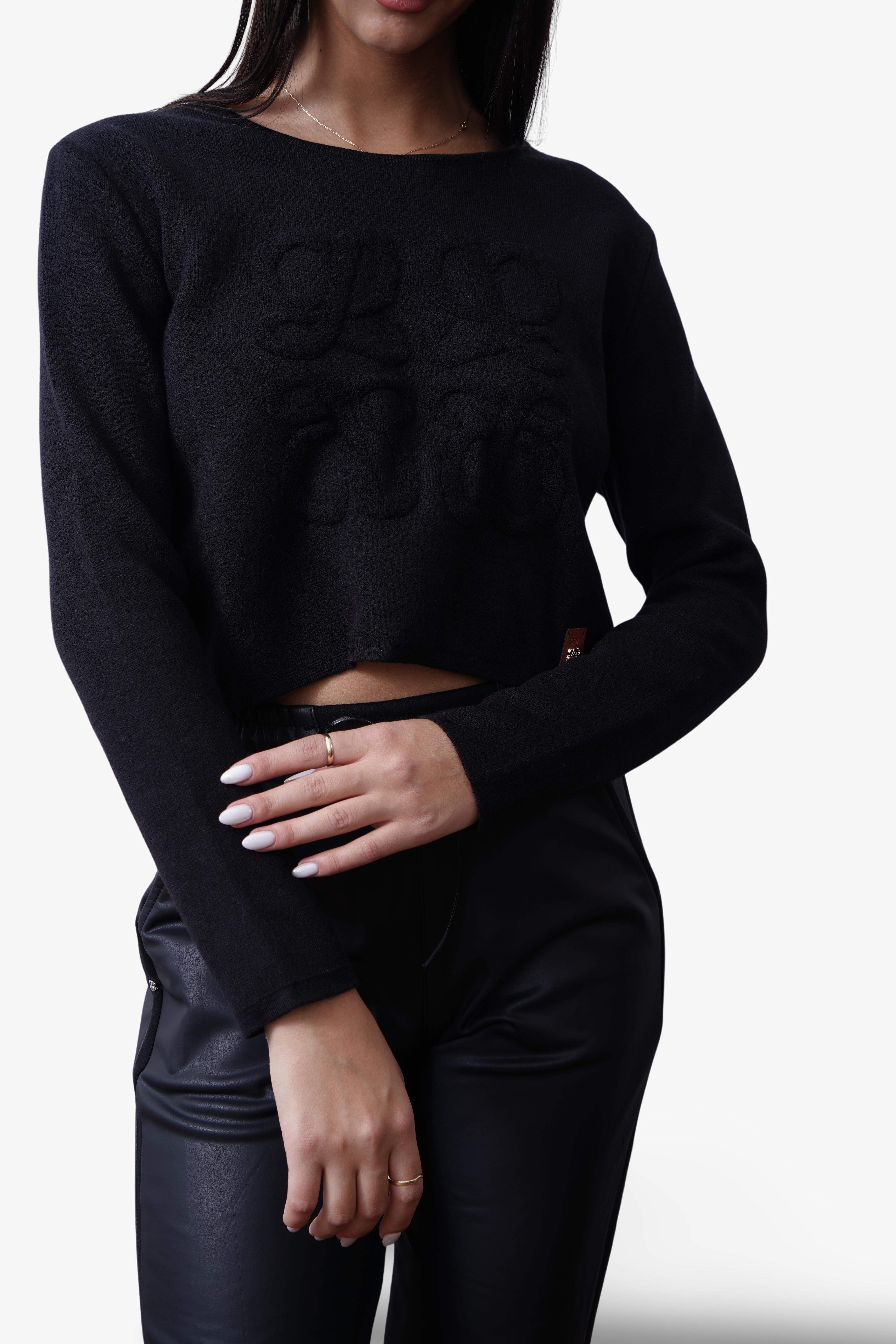Loewe Cropped Logo Knit Sweater